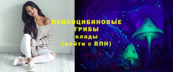 прущий лед Аркадак