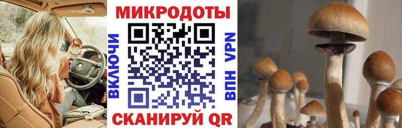 купить закладку  Приморско-Ахтарск  Псилоцибиновые грибы Magic Shrooms 