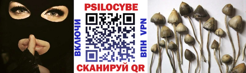 Псилоцибиновые грибы MAGIC MUSHROOMS Приморско-Ахтарск